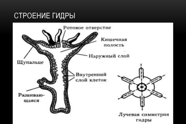Ссылка на кракен тор kr2web in