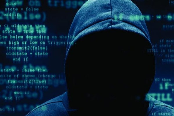 Что можно купить в кракене